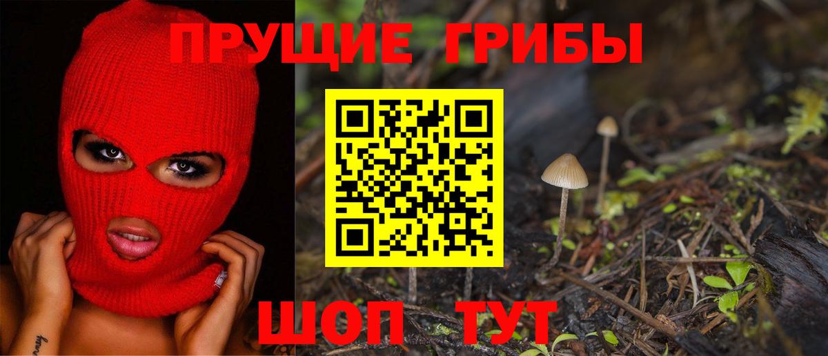 Псилоцибиновые грибы мухоморы  Вход с VPN  Бердск 